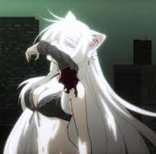 Nekomonogatari Kuro Hanekawa Hanekawa Tsubasa Anime Japanese Drama