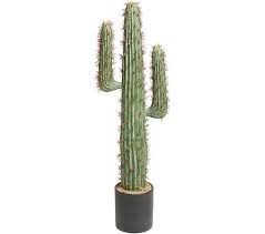 For instance, it is used to cook chicken, hot dogs, hamburgers, ribs, and all things that you can cook on a frying pan you can cook with a george foreman grill. 3 Faux Cactus Plant In Pot By Valerie Qvc Com