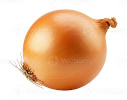 Image result for root-tail