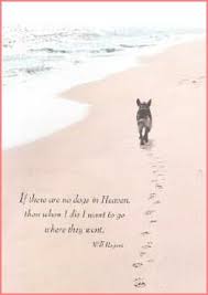  Dog Sympathy Card Dog Sympathy Dog Heaven Pet Quotes Dog