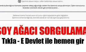 Nufus Mudurlugu Soy Agaci Sorgulama Nasil Yapilir E Devlet Te Soy Agaci Sorgulama