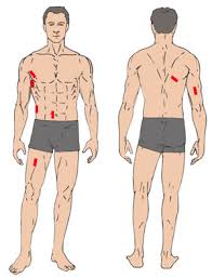 How To Take Accurate Skinfold Measurements Gymjp Com