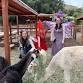 A Faery Hunt Enchantment event in Chatsworth, CA