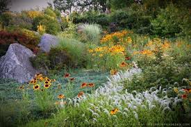 Pin On Wildflower Garden