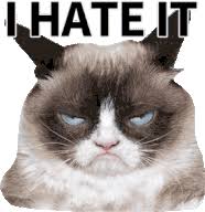 Crazy Cat Gifs Tenor