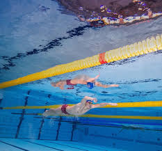 Jul 01, 2021 · 我國「蝶王」王冠閎，去年首度加盟isl國際游泳聯盟不斷突破，為所屬的卡利神鷹隊進帳不少分數，今天卡利神鷹也正式宣布. Azr Mqd7s85dkm