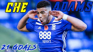 Che adams biography and career. Che Adams The Best Striker In England In 2019 Every Goal This Season Hd Youtube