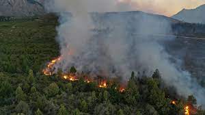 We did not find results for: Patagonia Sigue Fuera De Control El Incendio Forestal En Rio Negro Ya Arraso 3 000 Hectareas Entre El Bolson Y El Maiten Argentina Forestal