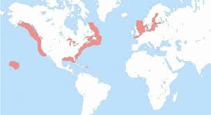 At the age of 30, the shepherd and warrior, david, chosen by. North Europe Eca Source Transportstyrelsen 47 Download Scientific Diagram