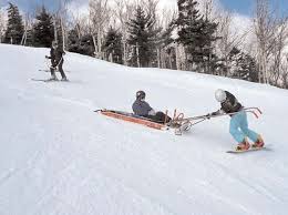 IN THIS ISSUE. . . Division Director Report