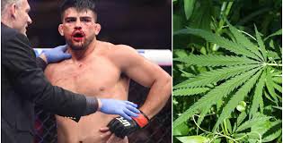 Kelvin gastelum is ready to rise at ufc fight island 2. Kelvin Gastelum Suspended By Usada After Testing Positive For Cannabis Second Time