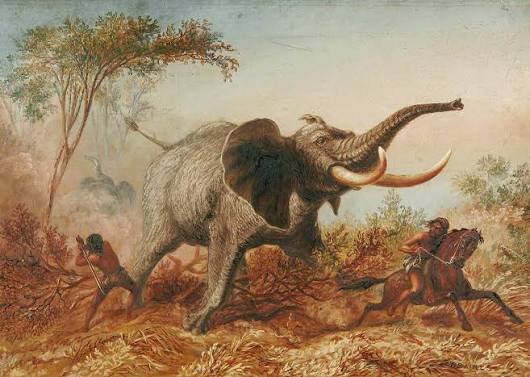 Elephant Hunting with the Sword, Abyssinia | Art UK