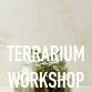 Terrarium Workshop at Jenni Kayne, Westport CT