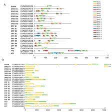 By clicking the button above, i agree to the ziprecruiter terms of use and acknowledge i have read the privacy policy, and agree. Plants Free Full Text Characterization Of The Ap2 Erf Transcription Factor Family And Expression Profiling Of Dreb Subfamily Under Cold And Osmotic Stresses In Ammopiptanthus Nanus Html