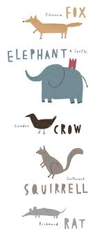 A London Zoo Animal Illustration Fox Illustration Children Illustration
