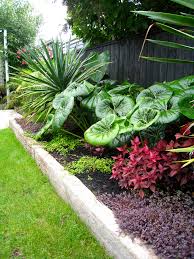 Garden Design Auckland Landscape Designer Kirsten Sach Landscape Design Ltd In 2020 Small Garden Landscape Garden Landscape Design Tropical Landscaping