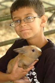 A day at the Westport Fair