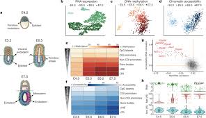 Country wise clinical trials, 2019 figure 3. Argelaguet Et Al Nature 2019 Multi Omics Profiling Of Mouse Gastrulation At Single Cell Resolution Single Cel Gene Expression Cell Cycle Dna Methylation