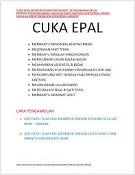 Jika dikonsumsi dalam takaran pas, minum cuka apel dapat memberi manfaat bagi sistem pencernaan, menurunkan berat badan, hingga membantu mencegah kanker. Cuka Epal Tahukah Anda Apa Itu Saudagar Kurma Jb Facebook