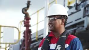Infrastruktur & jaringan gas bumi. Pertamina Indonesia Investments