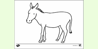 4.8 out of 5 stars 54,077. Free Donkey New Colouring Sheet Colouring Sheets