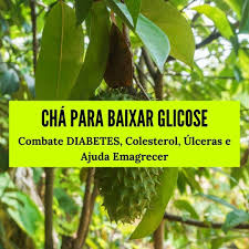 Glicose e colesterol altos estão entre os principais problemas de saúde dos brasileiros, principalmente na terceira idade. Receita De Cha Para Baixar Glicose Pata De Vaca Graviola E Ipe Roxo Nutriela