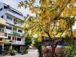 The markets at chiang mai revolve around the saturday and sunday markets which are extremely popular and have a great selection of food, local. Hotels Near All Chiang Mai Tours In Chiang Mai 2021 Hotels Trip Com