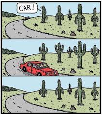 The best memes from instagram, facebook, vine, and twitter about cactus. It S Hard To Be A Cactus Plant Jokes Book Jokes Funny Pictures
