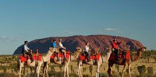 Take a tour on a camel train at sunrise, a scenic flight at sunset, and dinner under a gazillion stars. Camel Rides Uluru Ayers Rock Everything Australia