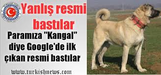 Darphane De Sivas Kangali Diye Yanlis Resim Bastilar Turkish Forum