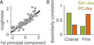 Which of the following choices correctly matches a tool and its proper application option are : High Dimensional Representation Of Texture In Somatosensory Cortex Of Primates Pnas