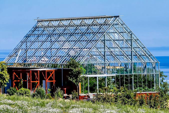 Greenhouse