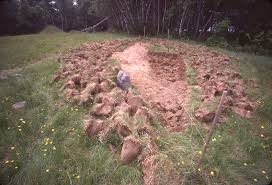 We did not find results for: Content Posted In 2019 Und Scholarly Commons University Of North Dakota Research