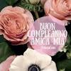Spero, saremo sempre così buoni amici. 1