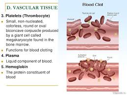 Maybe you would like to learn more about one of these? Biological Science Plant And Animal Tissues
