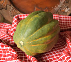 We did not find results for: Preserving And Using An Abundance Of Squash For Cold Weather Comfort Food Oak Hill Homestead