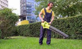 The leaf blower was originally intended as a chemical sprayer in the 1950s. Do Leaf Blowers Work On Wet Leaves Find Out The Details
