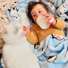 I am always amazed at how good these cats are with babies/kids 💕 Angel  thinks my baby is hers 🥰 Swipe for the first day they met 🫶🏼