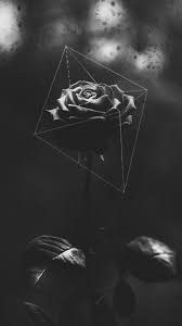 Aesthetic Anime Photography Dark Wallpaper Black And White Wallpaper Random Pics To Put A Smile On Your Face Black Roses Wallpaper Hipster Wallpaper Dark Wallpaper