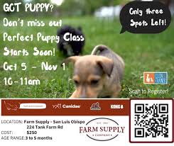 Ellen The Dog Trainer