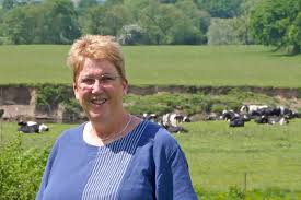 RWAS Appoints Mr Alwyn Rees as Vice Chair of Council