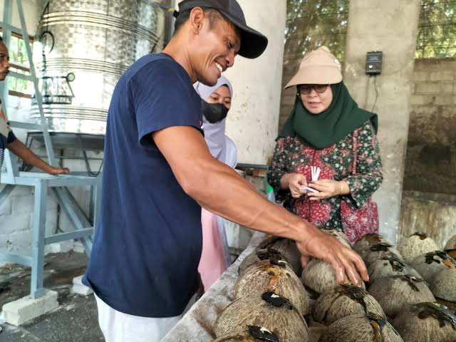 Perkebunan Tebu Kediri