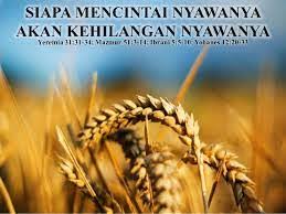 Prediksi hongkong minggu 21 maret 2021. Renungan Minggu 21 Maret 2021 Kalender Liturgi Maret 2021 Tahun B 1 I H S Peraturan Yang Dibuat Dan Diterapkan Untuk Mengatur Kehidupan Bersama Kerap Kali Dilanggar Atau Tidak Diindahkan Aneka Tanaman Bunga