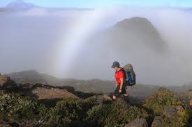 awildland: Seeing is believing