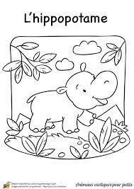 epingle par laurie gabbiati sur filipkovy omalovanky coloriage animaux hippopotame rapide de voitures