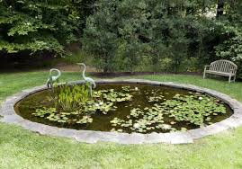 Big Round Koi Pond Design Pond Design Koi Pond Design Ponds Backyard