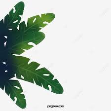 Don't want to provide attribution? Gambar Daun Pisang Hijau Pisang Clipart Daun Bertingkat Png Bahan Daun Hijau Png Dan Psd Untuk Muat Turun Percuma Banana Leaf Leaf Background Watercolor Leaves