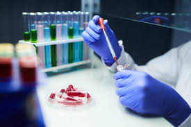 The number and types of available tests vary widely based on geographic region and health care facility. Entenda As Diferencas Entre Os Testes Para Covid 19 Coronavirus