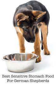 Best Dog Food For German Shepherds With Sensitive Stomachs Dog Food Recipes Best Puppy Food Best Dog Food
