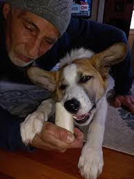 I want to be buried with my dogs. I don't care about anything, I just want  to be with them. They were the only ones who loved me unconditionally, who  were always